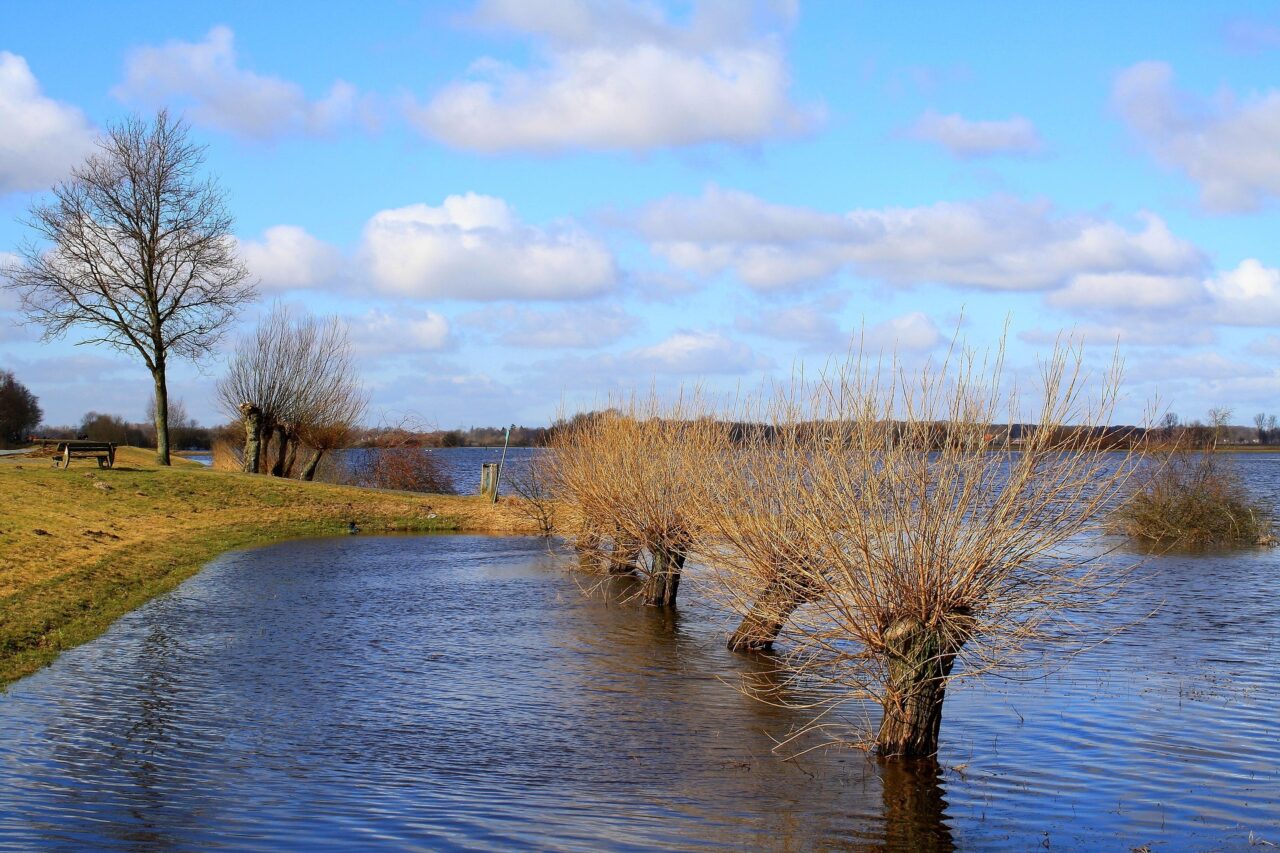 Deiche halten Hochwasser zurück.