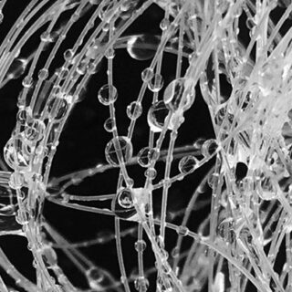 Wassertropfen, die an den Fäden von HydroSKIN hängen bleiben.