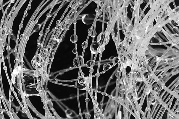 Wassertropfen, die an den Fäden von HydroSKIN hängen bleiben.