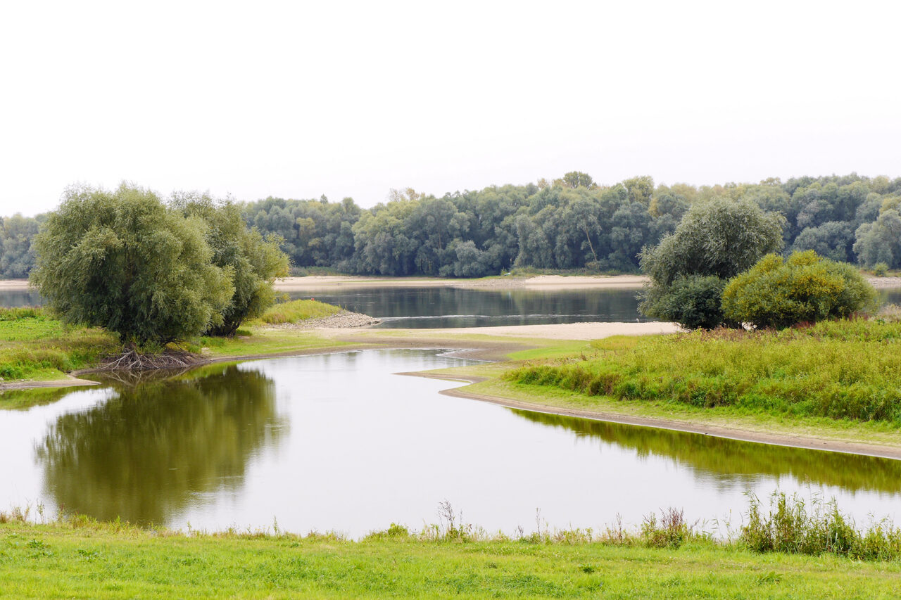 Je mehr Überflutungsfläche ein Flusslauf hat, desto weniger besteht die Gefahr, sensible Flächen wie etwa Wohngebiete zu überfluten.