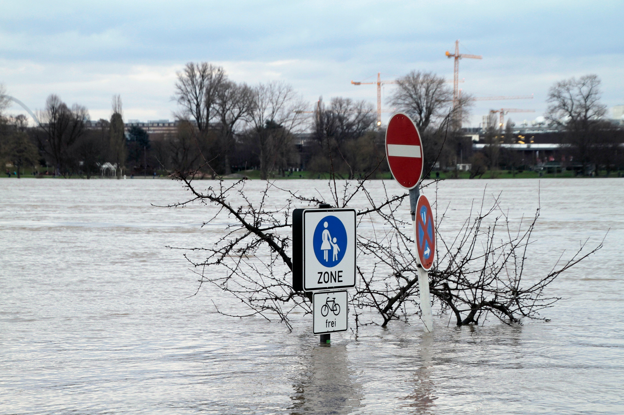 Der Rhein bei Köln ist über die Ufer getreten.