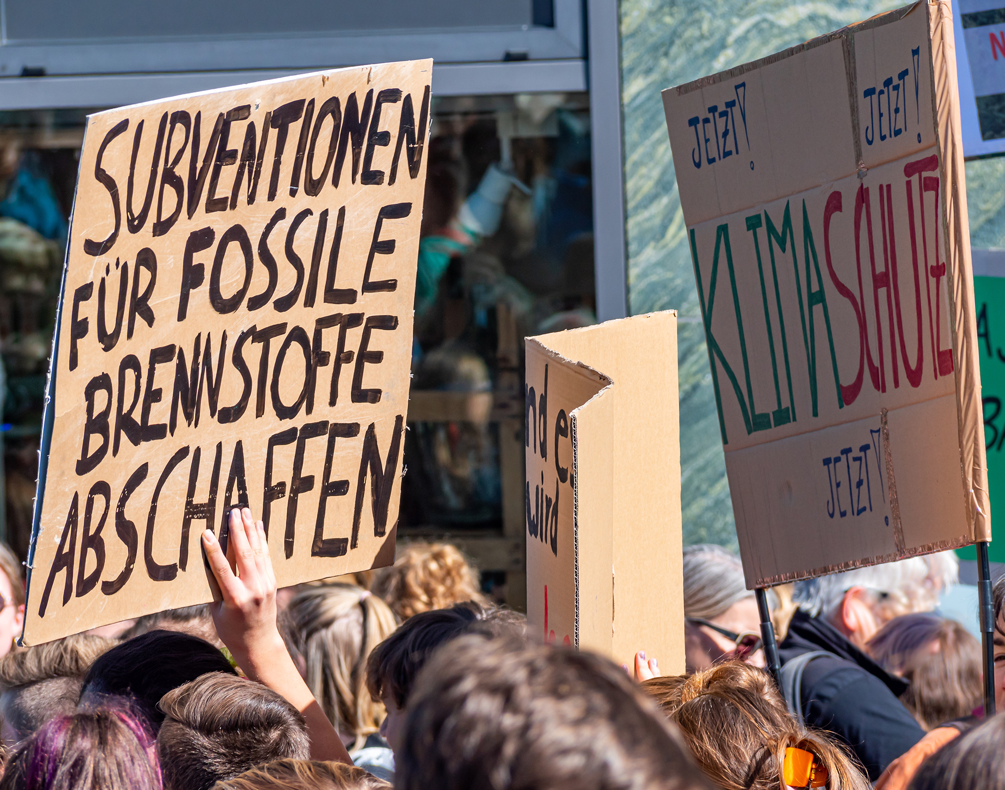 Junge Generationen gestalten die Klimaanpassung: Warum ihre Ideen über unsere Zukunft entscheiden